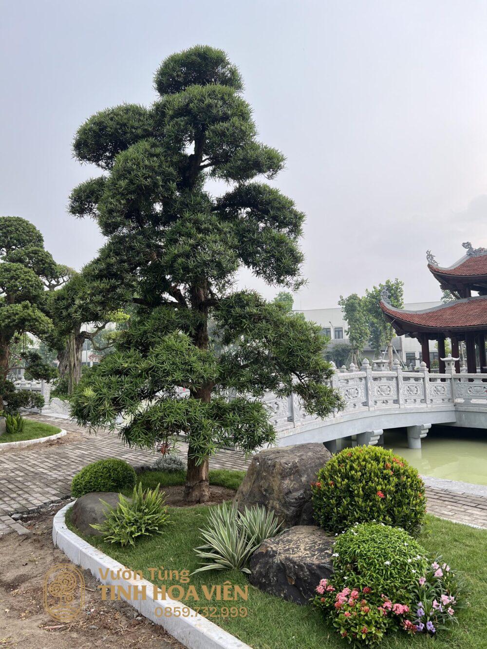 Chua Long Hoa 3